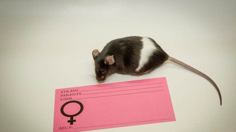Why Sex Matters In Science