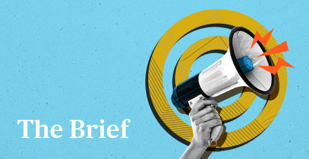The Brief