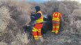 Tumbleweeds trap cars, trucks in rural Washington