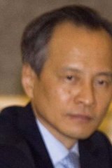 "I hope the US won't be burned by this fire" ... Chinese Vice Foreign Minister Cui Tiankai.