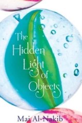 The Hidden Light of Objects, by Mai Al-Nakib. 