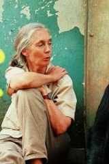 Wake-up call: Primatologist Dame Jane Goodall.