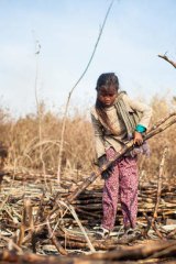 From 5am, several days a week, 11-year-old Li* works alongside her mother, brother and uncle in a Cambodian cane field. The work is hot, hard and long. For bundling 600 pieces of sugar cane she receives one cent. In 2010, they were forcibly evicted to make way for a sugar plantation owned by one of Cambodia's richest men. *Li is a pseudonym to protect the girl's identity.
