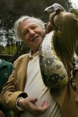 Sir David Attenborough's 2013 Australian tour is expected to sell out quickly