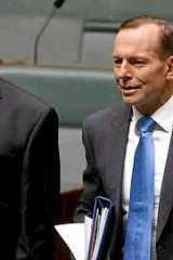 Another promise to go?: Tony Abbott's hand-picked review panel recommends the renewable energy target be dramatically cut back.