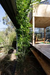 Garden House by Baracco + Wright Architects. 
