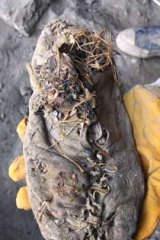 The world's oldest shoe.