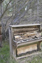 Wambyn Olive Farm; sanctuary for ruined pianos.