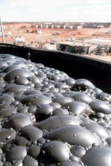 Copper bubbles in a flotation tank at the BHP Billiton Olympic Dam mine.