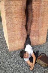 The young man reportedly climbed into the sculpture as a dare.