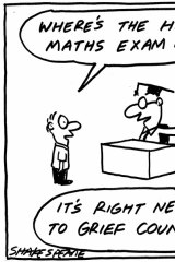 HSC Maths cartoon