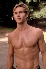Ryan Kwanten has spent most of the series shirtless.