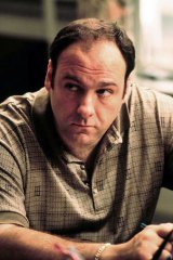 Good company: it's rare that hanging out with Tony Soprano is a recommended course of action for anyone but for Buddy it could be just the ticket.