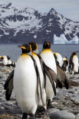 China has made no secret of its desire for Antarctica's abundant resources.