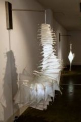 <i>The Insects of Japan</i>, by Michelle Day in <i>Daylights</i>  at Craft ACT.