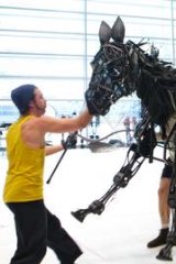 Puppeteers bring life and movement to the wicker and steel stars of <i>War Horse</i>.