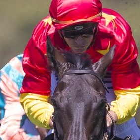 Well backed: Auvray roars to victory in the Sky High Stakes