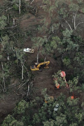Clearfelling in the Leard Forest to make way for a coal mine.