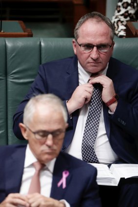 Deputy Prime Minister Barnaby Joyce and Prime Minister Malcolm Turnbull in Parliament last week.