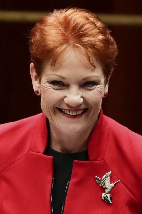 Senator Pauline Hanson  after the the income tax vote.