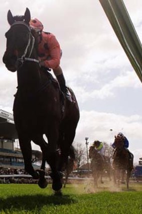 Black Caviar won 15 Group One races, including the Diamond Jubilee Stakes at Royal Ascot last year. The mare will now begin a breeding career, where her foals are expected to bring millions.