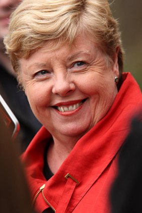 Christine Nixon was Victoria's chief police commissioner from 2001 until 2009.
