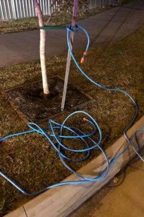 The garden hose was tried to two shrubs on either side of Goonawarra Drive in Mooloolaba.