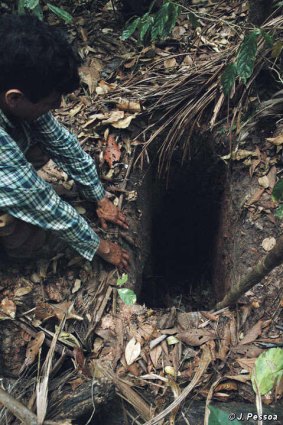 In 2005 Survival International published this photo of the hole the man dug.