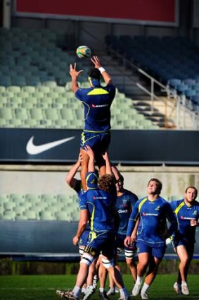 On the rise ... the Australian pack practice their lineout yesterday.