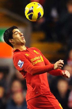 Reds ace: Liverpool's Luis Suarez has earned plenty of plaudits, as well as criticism, this season.