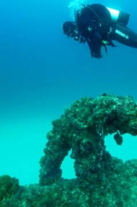 A QPWS Marine Parks Ranger inspects the wreck of the  Aarhus.