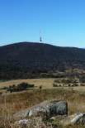 Vista from Mt Painter