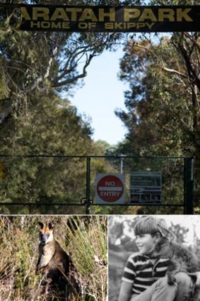 One of Australia's biggest exports ... Waratah Park, where Skippy was filmed, (below) animals at Waratah Park yesterday and Skippy and Sonny played by Gary Pankhurst.