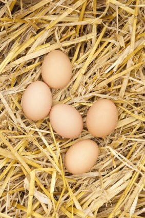 Canberra restaurants that use raw eggs in their food are "dicing with death" according to the ACT's chief health officer.