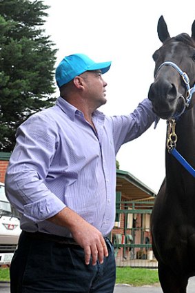 Champion mare Black Caviar is going for her 11th straight win tomorrow night at Moonee Valley.