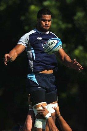 High expectations ... Sitaleki Timani gets a lift during lineout practice at Waratahs training.