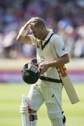 Opener David Warner stroked the equal fastest fifty for an Australian in Ashes history, from 35 balls, before departing for 77, caught by Adam Lyth off the bowling of James Anderson.