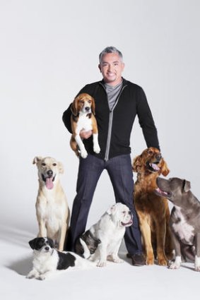 Best friends ... dog whisperer Cesar Millan says our canine companions remind us of life's simplicities.