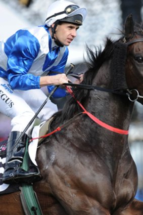 ''A terrific trackworker'' ... Mark Pegus at Flemington on Joe Blow, which faces a test today.