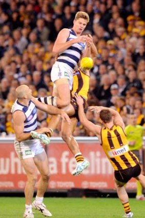 Geelong's Nathan Vardey rides Hawthorn's Brendan Whitecross to take a mark but drops the ball.