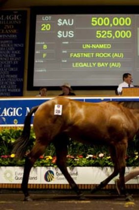 Athletic ... the Fastnet Rock filly is knocked down for $500,000 at the Gold Coast.