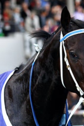 Black Caviar with trainer Peter Moody.