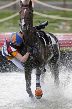 Elaine Pen of the Netherlands falls from her horse Vira during the eventing cross-country phase.
