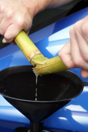 Ethanol fuel is not suitable for boats with petrol engines, experts say.