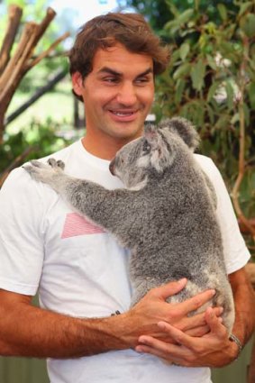 Roger Federer holds a koala at Lone Pine Koala Sanctuary in Brisbane on Sunday.