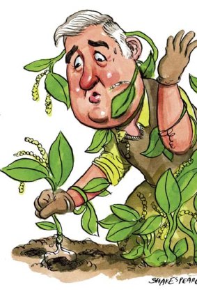 NAB's chief executive, Cameron Clyne ... getting to grips with weeds.
