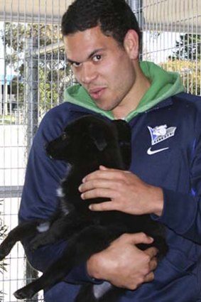 A close relationship has been forged between the Bulldogs and the RSPCA.