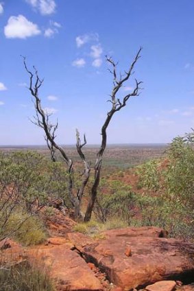 Outback WA has been the focus of a Yarri Mining and EMA battle over a big uranium lease.