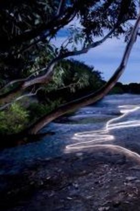 Aboriginal engraving series No. XI (Whale) Jibbon Head, Royal National Park NSW 2009. Light painting - photo taken at night using a torch.