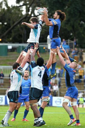 Down in front: Sam Wykes of the Western Force is beaten to the ball at the lineout.